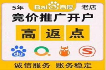 行业标杆：SEM推广代运营成功案例